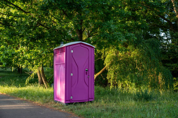 Best Porta potty for special events  in Falconer, NY
